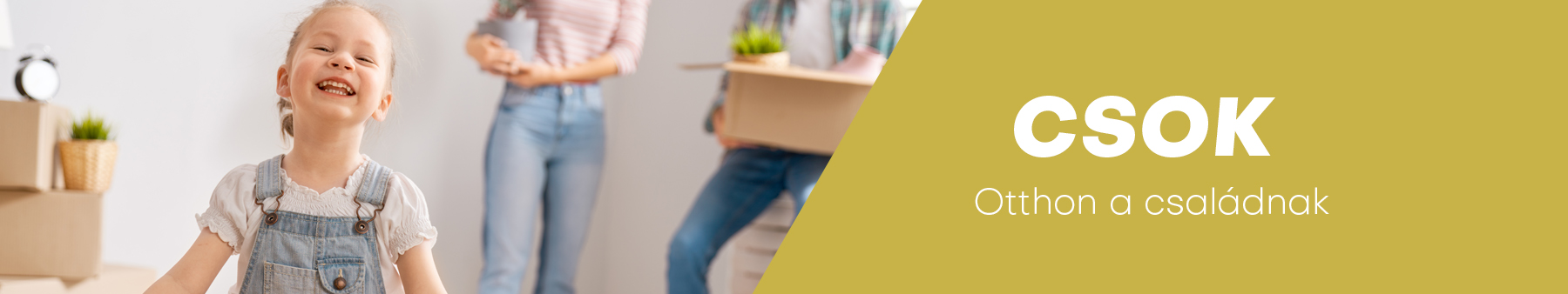 csok-banner